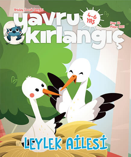 yavru-kirlangic-mayis-2021.jpg