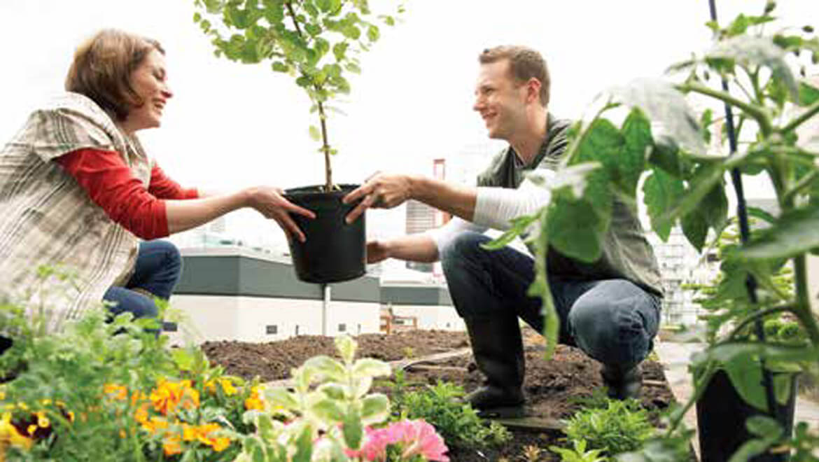 Doğal Yaşamda Sürdürülebilirlik Önemli