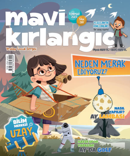 mavi-kirlangic-temmuz-2023.jpg