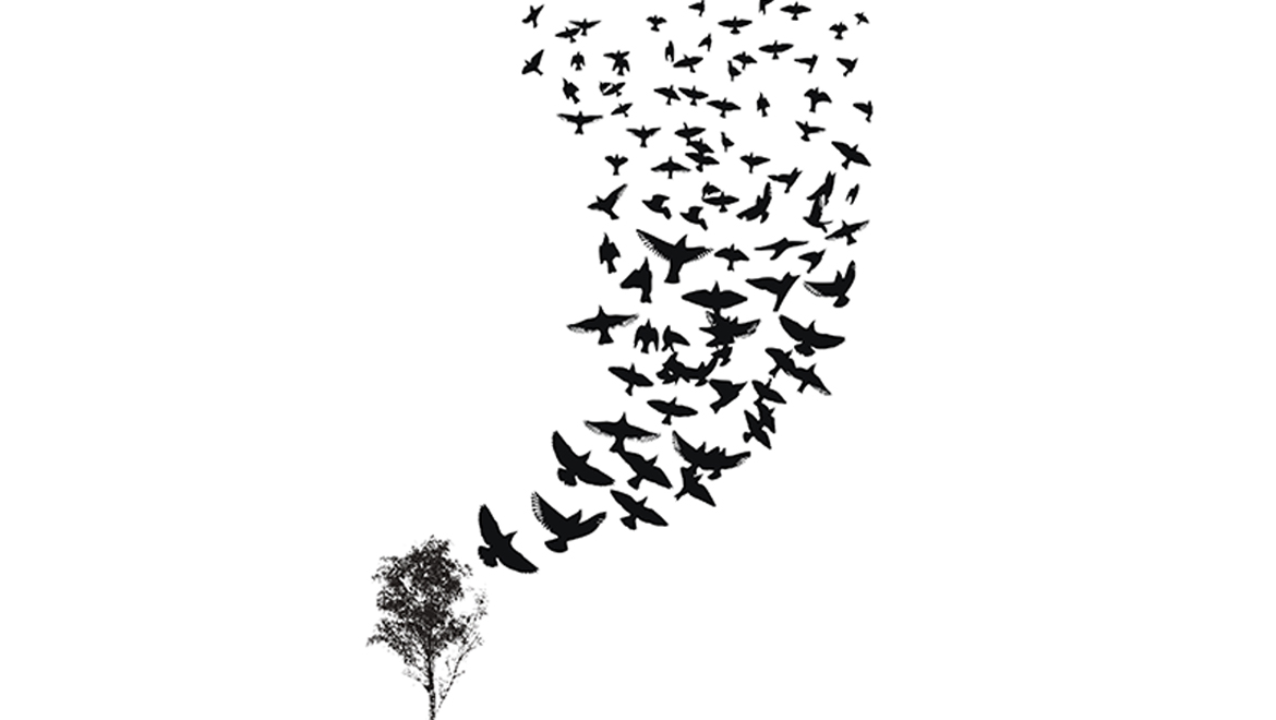 Yeşilay Gönüllülerle, Gönüllüler Yeşilay’la Büyüyor