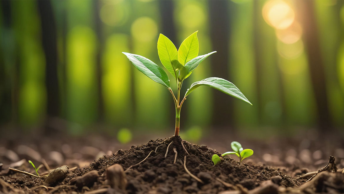 Daha Doğal Bi̇r Yaşam İçi̇n 9 Öneri